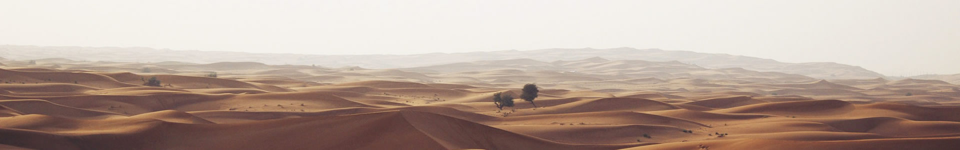 ʽ-Ƽ޹˾